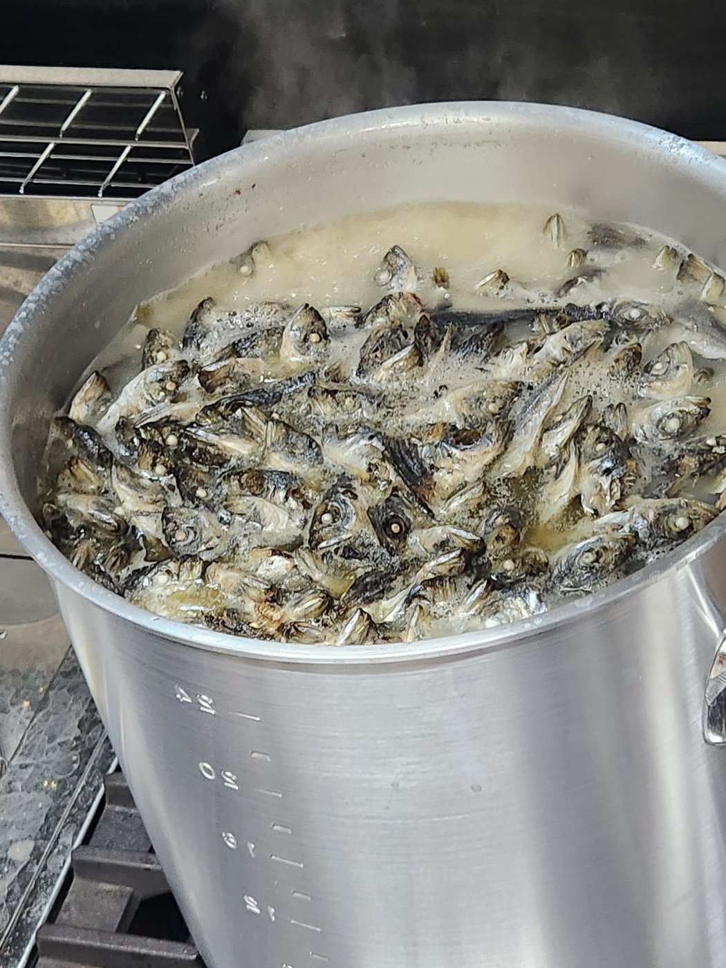 煮干し出汁を炊く